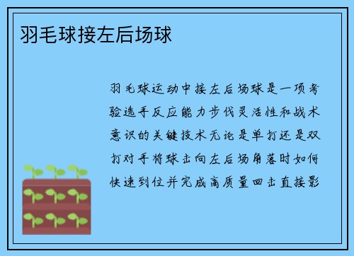 羽毛球接左后场球