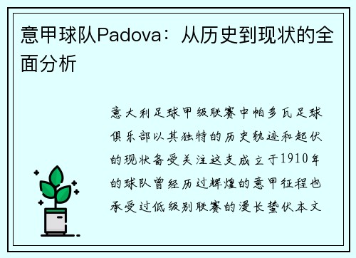 意甲球队Padova：从历史到现状的全面分析